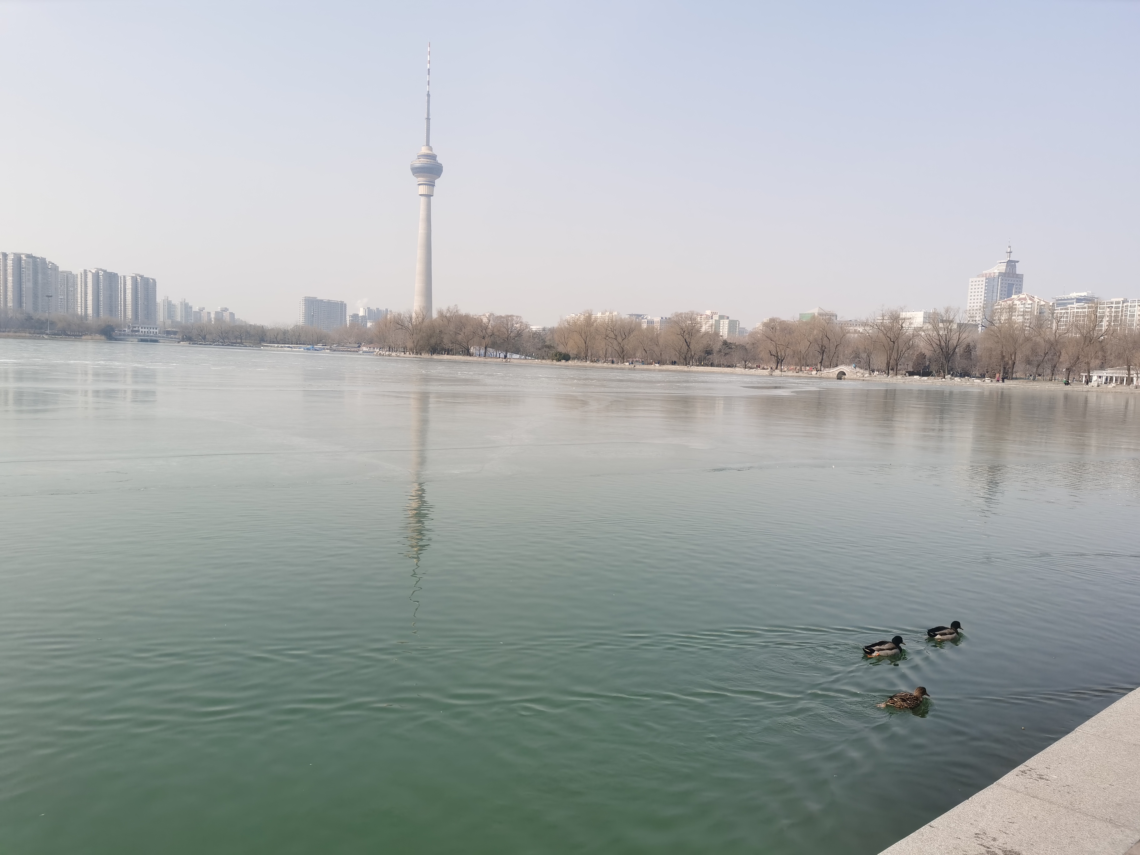 产业数智化认知与接受度